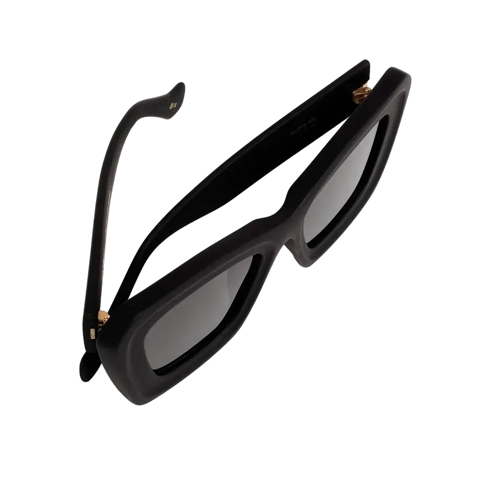 Γυαλιά Ηλίου FILIPPA 900