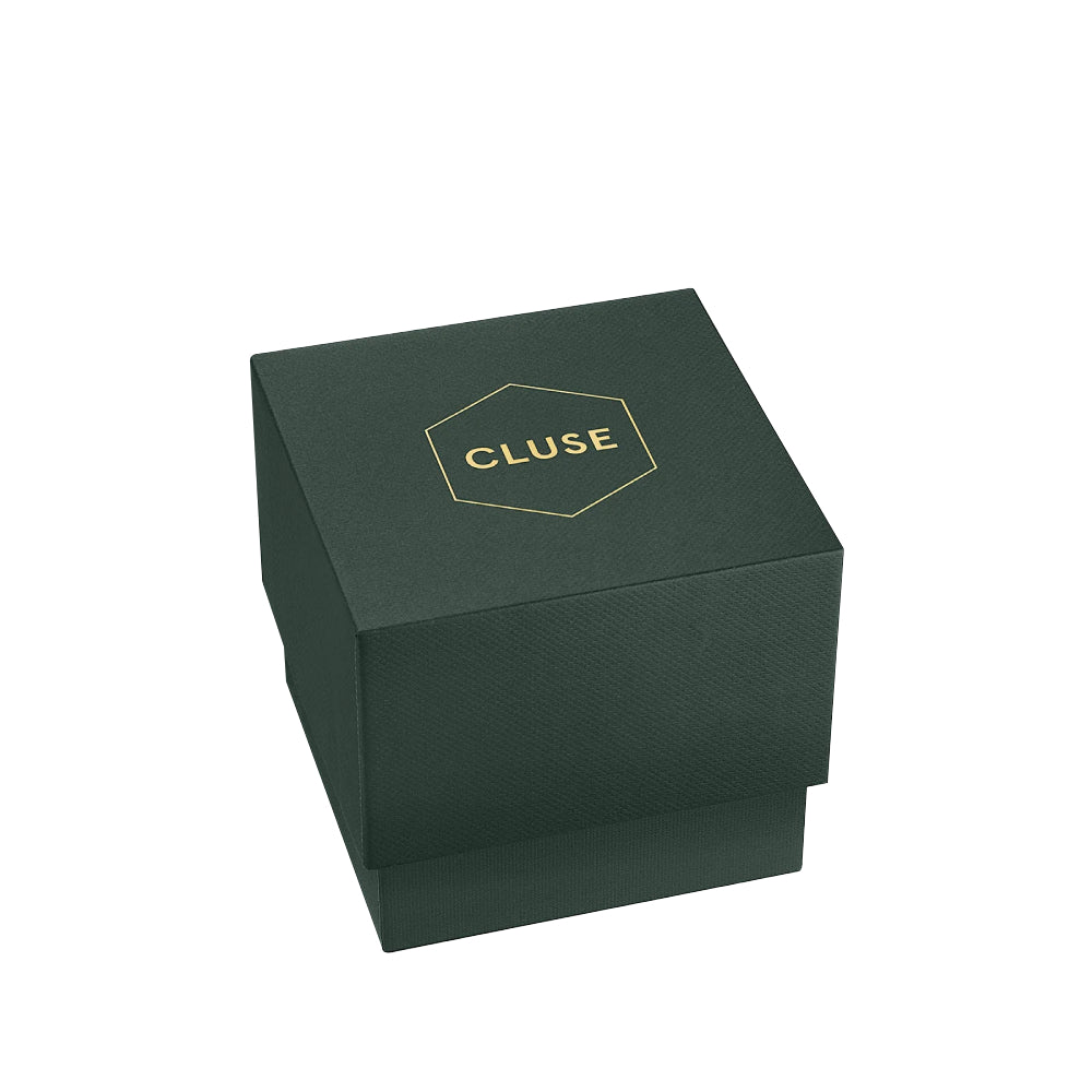 CLUSE L'Ovale Watch Steel, Brown, Gold Colour CW16105