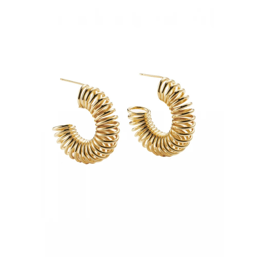 Aleyole Perfect Ten Gold Silver Earrings EG4441