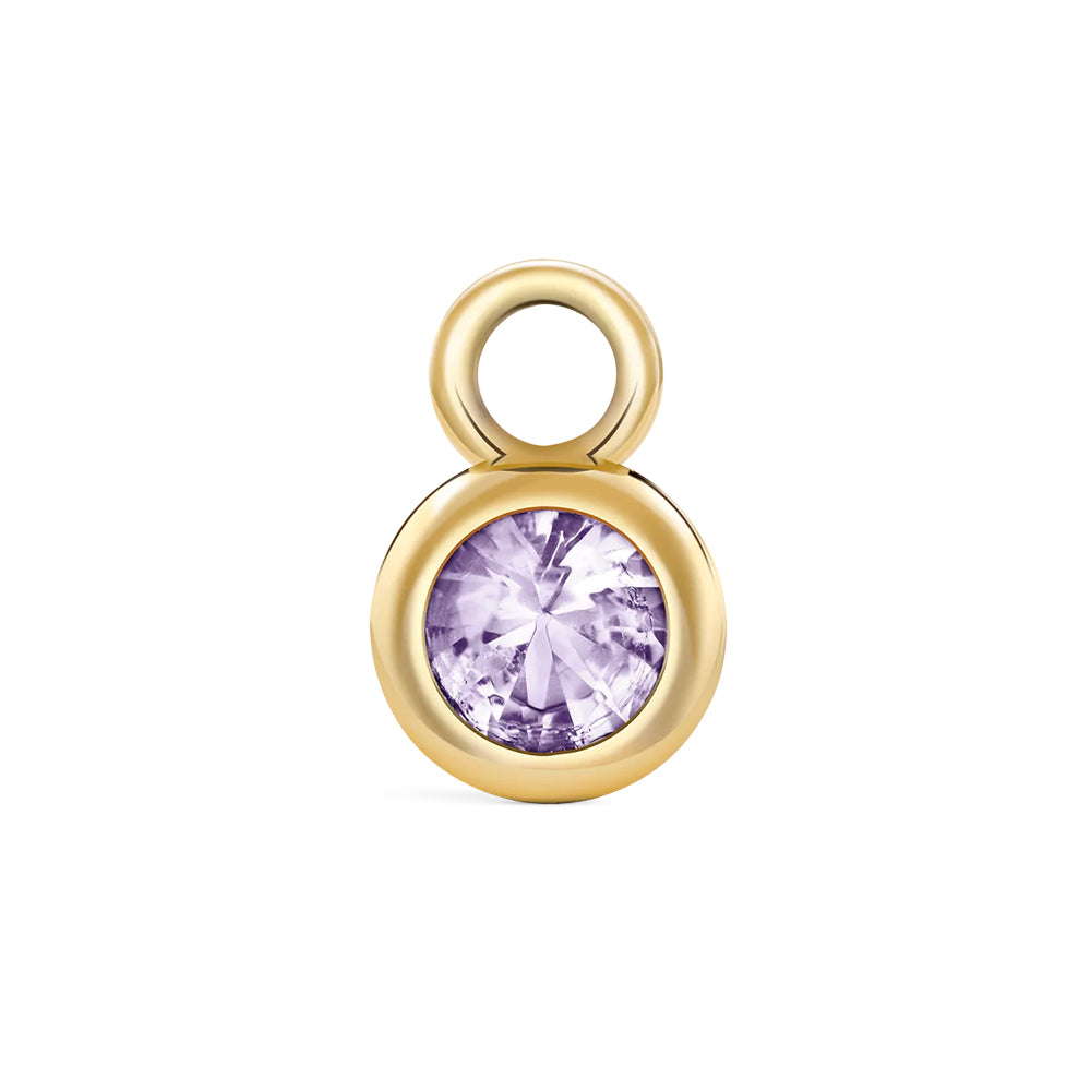 Aleyole February Birthstone Charm CG4347