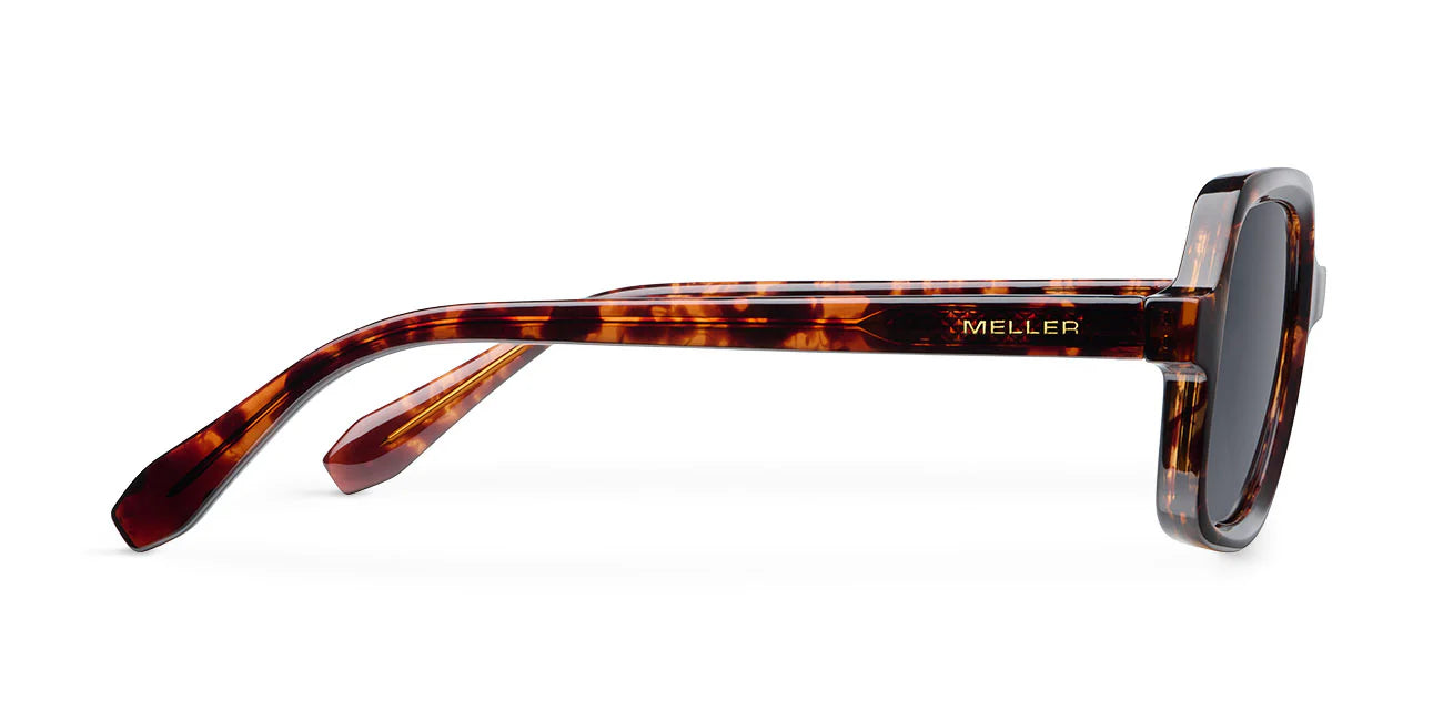 Γυαλιά Ηλίου Meller Neo Tigris Carbon