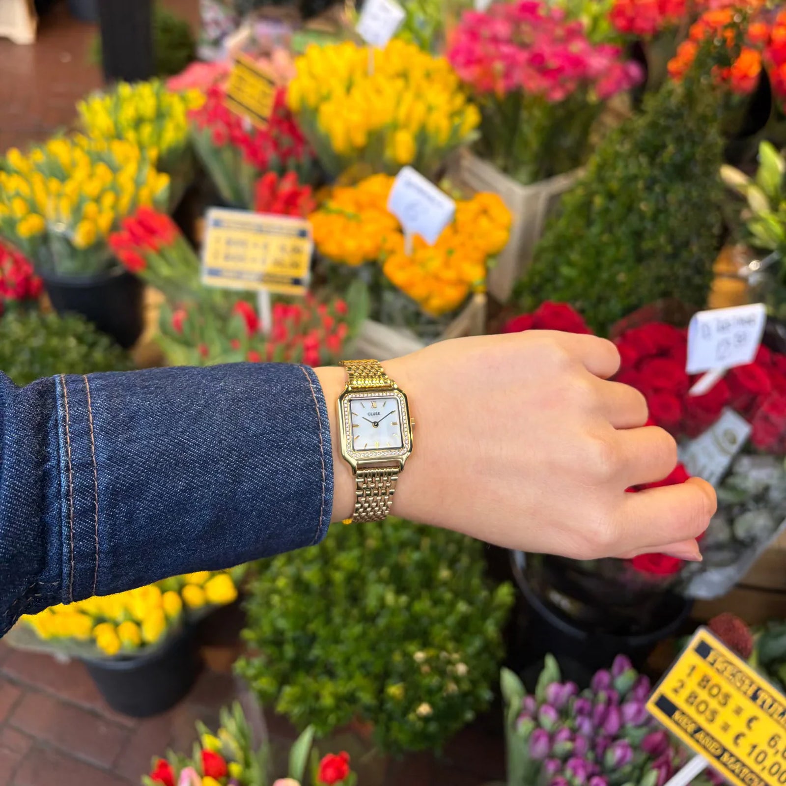 CLuse Gracieuse Petite Watch Steel, Glass Pearls, White, Gold Colour