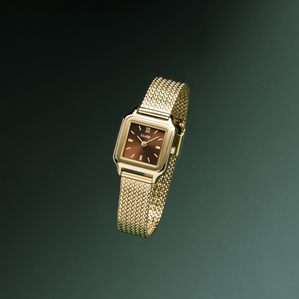 CLUSE Gracieuse Petite, Mesh, Brown, Gold Colour CW11830