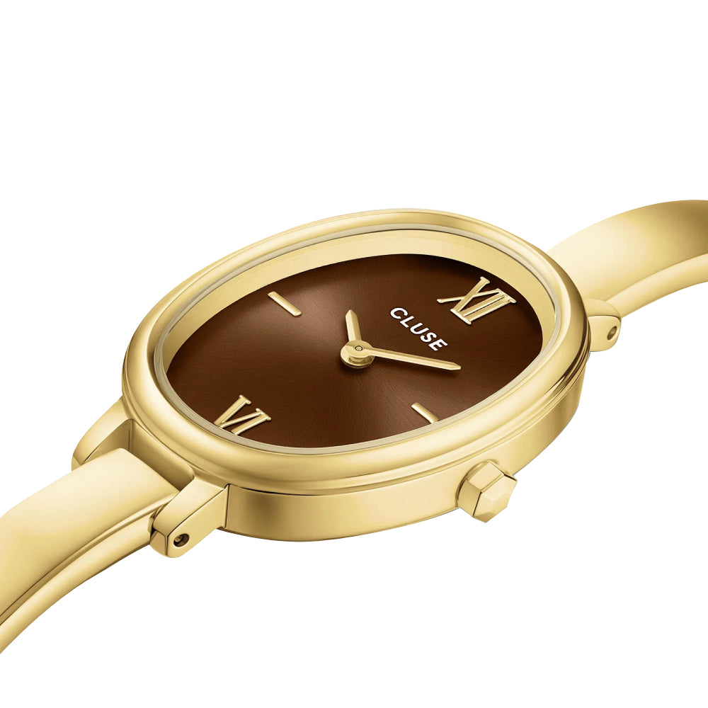 CLUSE L'Ovale Watch Steel, Brown, Gold Colour CW16105