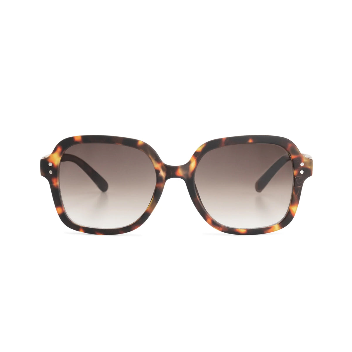 Presbyopia Sunglasses Looplabb Colette Sun Turtle