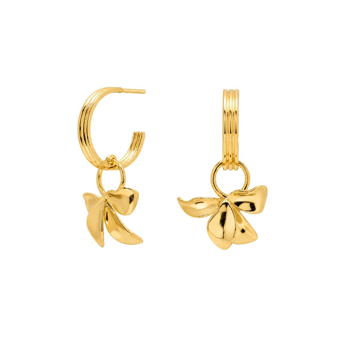 PDPaola Women’s Hoop Earrings Ivy AR01-185-U