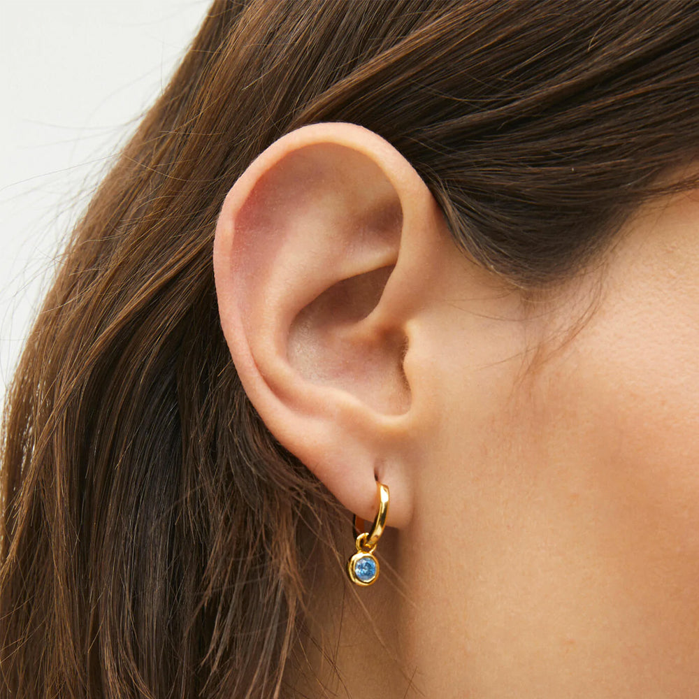 Aleyole December Charm CG4357