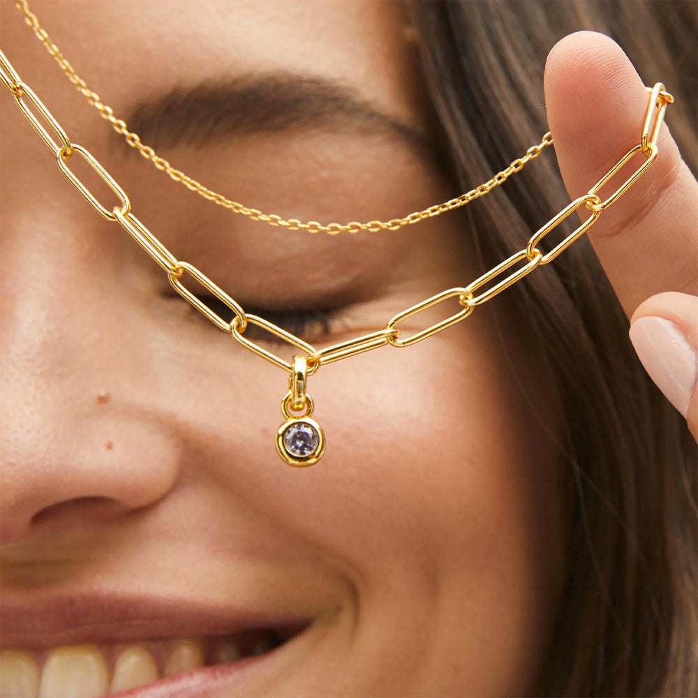 Aleyole February Birthstone Charm CG4347