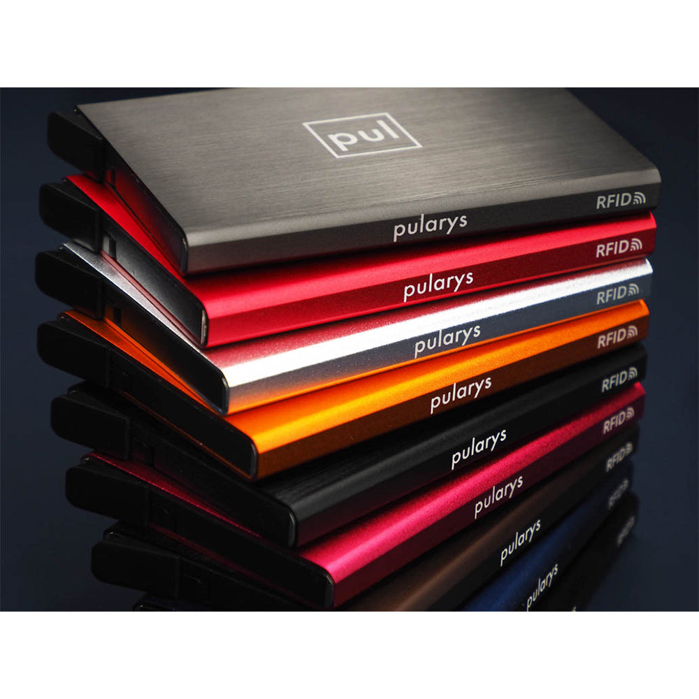 Pularys Zen Silver Rfid 174310840