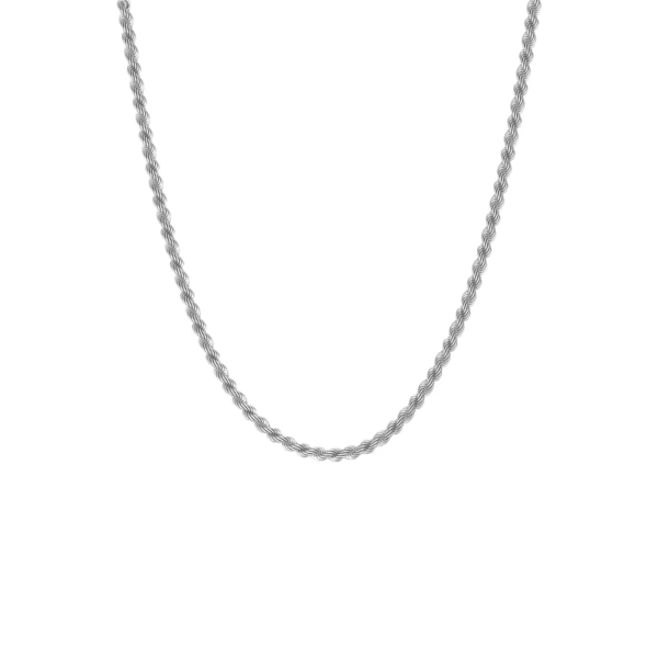 Steel & Barnett Helix Chain Necklace Silver